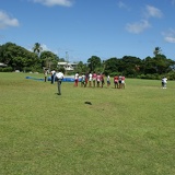 Physical Education & Sports
